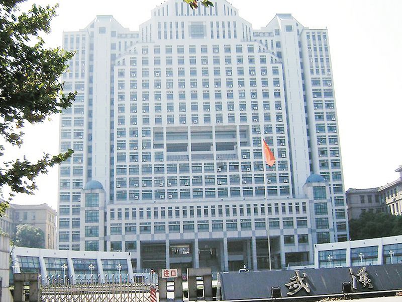 武汉大学